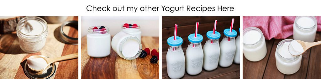 Yogurt Recipes
